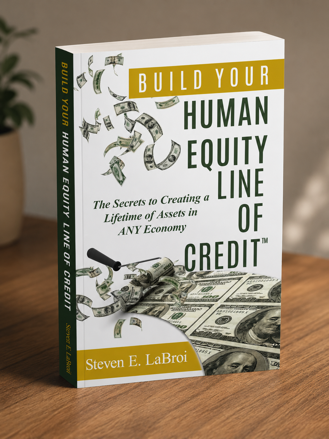 Build Your Human Equity Line of Credit 1st Edition by Steven E. LaBroi